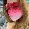 Faceshield Protective Glasses Goggles Brown